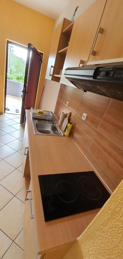 Apartmani Krajnovic 法扎纳 外观 照片